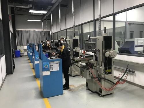 問需于企，精準服務 走進物聯網應用服務領域的雙星